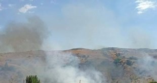Tunceli'de otluk alandaki yangın paniğe neden oldu