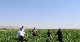 Ağrı'da Tarım ve Orman Müdürü Engin'in çiftçi ve veteriner hekim ziyaretleri