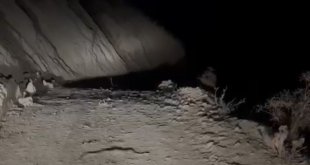 Yüksekova'da engerek yılanı görüntülendi