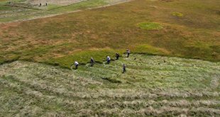 Tırpan ile ot biçme havadan görüntülendi