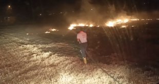 Ağrı'da alevler geceyi aydınlattı