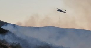 Bingöl'deki orman yangını kontrol altına alındı, soğutma çalışmaları yapılıyor