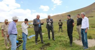 Diyadin'de içme suyu ve mesire alanı çalışmaları