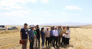 Ağrı'da biçerdöver denetimleri sürüyor