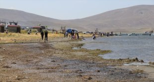 Ağrı'daki Balık Gölü'nün suyu bu sene de çekildi