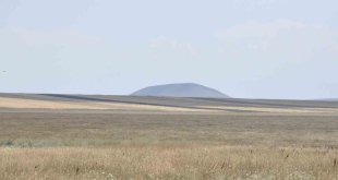 Doğu Anadolu'nun ilk Ramsar alanıydı