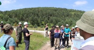 Posof ilçesinde kamp kurup doğa yürüyüşü yapıldı