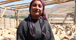 Depremde hayvanları telef olan kadın besici devlet desteğiyle ayağa kalktı