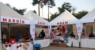 Bölge kültürleri Bitlis'te buluştu