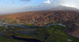 Yaban hayvanları yaz sıcaklarını geçirmek için Ağrı Dağı'ndaki Karasu'ya göç ediyor