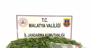Malatya'da Jandarmadan uyuşturucu operasyonu