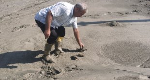 Erzincan'daki taşkında balçığa saplanan arı kuşları kurtarıldı