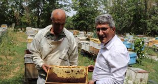 Ağrılı arıcılar tescilli "geven balı" hasadını sürdürüyor