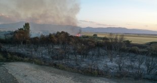 Ağrı'da ağaçlık alanda çıkan yangına müdahale ediliyor