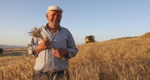 Bitlis'te sertifikalı tohumlar hububatta rekolte beklentisini yükseltti