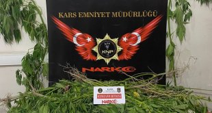 Kağızman'da esrar ve hint keneviri ele geçirildi