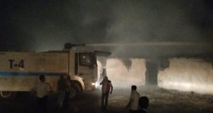 Bingöl'de ahır yangını: 2 büyükbaş telef oldu