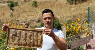 Arılara yazmayı öğreten adam