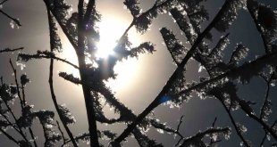 Ardahan'da soğuk hava: Damal ilçesi eksi 2,7 dereceyi gördü
