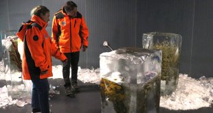 Erzurum'daki müzede 'buz içindeki bitkilerle' küresel ısınma anlatılıyor