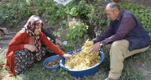 Hakkari'de usta öğretici çift, kök boya geleneğini sürdürüyor