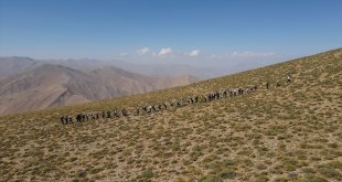 Doğaseverler, Van Gölü konusunda farkındalık oluşturmak için Artos Dağı'na tırmandı