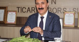 Van'da "Gevaş Fasulyesi" coğrafi işaretle tescillendi