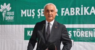 Muş'ta şeker pancarı alım kampanyası başladı