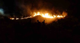 Malatya'daki dağlık alanda çıkan yangın kontrol altına alındı