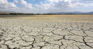 Kuş cenneti Erçek Gölü'nün kıyı şeridi buhar oldu