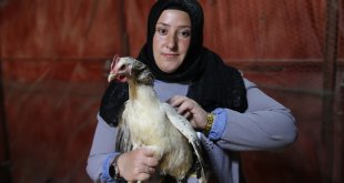 İstanbul'daki hayatlarını geride bırakıp Malatya'da tavuk üreticisi oldular