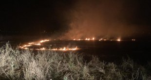 Erzincan'da arazide çıkan yangın söndürüldü