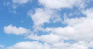 Ardahan'da çıkan anız yangını söndürüldü