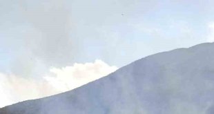 Ağrı'da bin 500 balya saman yandı