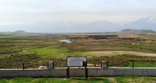 Göçmen kuşların Afrika- Asya yolculuğunun mola noktası: Ekşisu Sazlığı Sulak Alanı