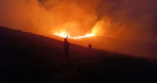 Varto'da anız yangını