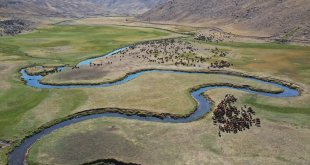 Yaylada sürüleri için 6 ay geçiren çobanlar dönüş hazırlığına başladı