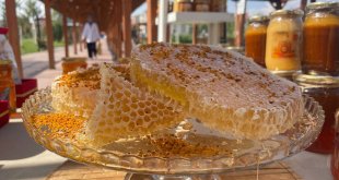 Ağrı'da bal festivali devam ediyor