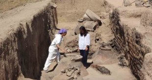 Garibin Tepe'deki kazılarda 2 bin 700 yıllık pithoslar bulundu