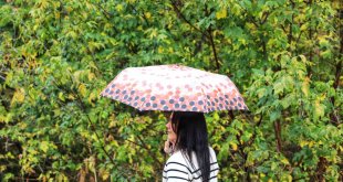 Ağrı'da sağanak yağış vatandaşları zor durumda bıraktı