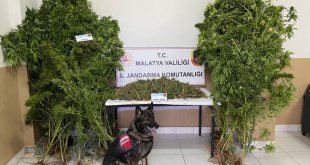 Malatya'daki uyuşturucu operasyonunda 2 zanlı tutuklandı