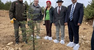 Elazığ'da Prof. Dr. Melih Boydak Hatıra Ormanı'na fidan dikildi