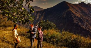 Hizan'da fıstık hasadı