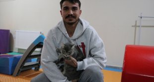 Sosyal medya paylaşımlarıyla sokaktaki kedi ve köpekleri sahiplendiriyor