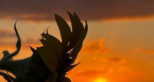 Ağrı'da gün batımı görsel şölen oluşturdu