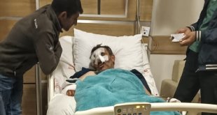 Kars'ta ayı saldırısına uğrayan kişi ağır yaralandı