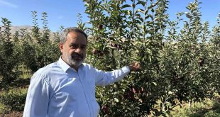 Tarlada 5 lira olan elmanın fiyatı markette 30 liraya kadar çıkıyor