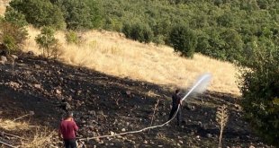 Yayladere'de otluk alanda çıkan yangın söndürüldü