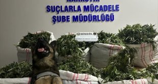 Bingöl'de bir haftada 112 kilo uyuşturucu madde ele geçirildi