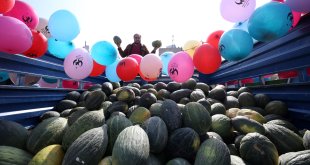 Muş'ta "Malazgirt 1. Kavun Festivali" düzenlendi